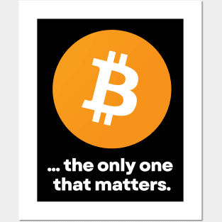 BTC The Only One That Matters 01a Posters and Art